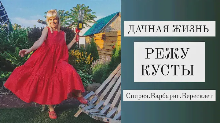 Дачная жизнь. ОБРЕЗКА СПИРЕИ, Самшитов, барбариса.